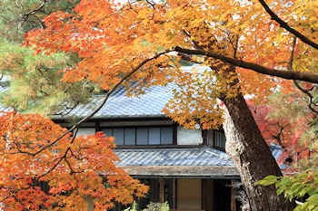 白沙村荘の風景