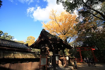 河合神社の風景