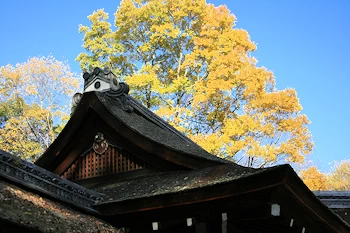 河合神社の風景
