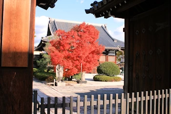 阿弥陀寺の風景