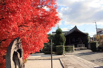 阿弥陀寺の風景