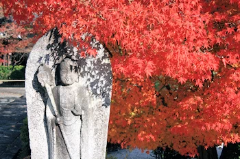 阿弥陀寺の風景