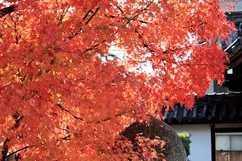 阿弥陀寺の風景