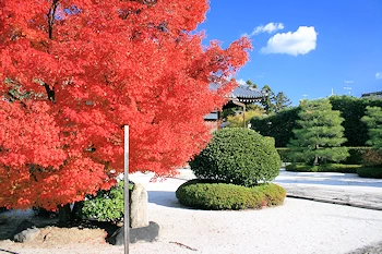 阿弥陀寺の風景