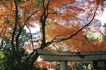 上御霊神社の風景