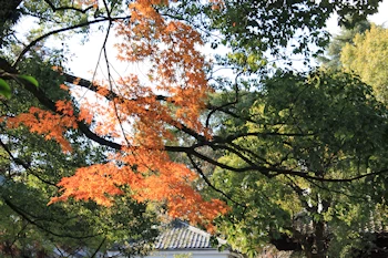 上御霊神社の風景