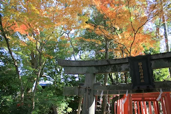 上御霊神社の風景