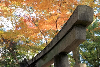 上御霊神社の風景