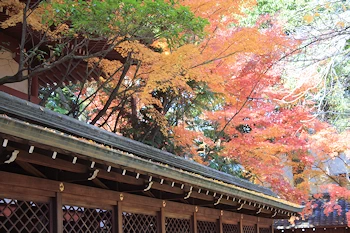 上御霊神社の風景