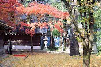 上御霊神社の風景
