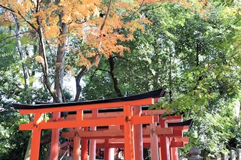上御霊神社の風景