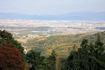 善峰寺の風景