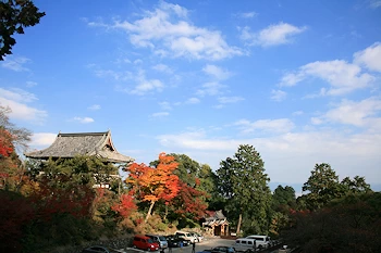 善峰寺の風景