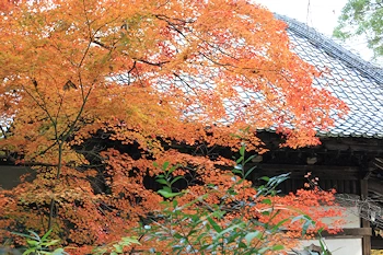 十輪寺の風景