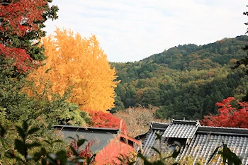 十輪寺の風景