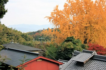 十輪寺の風景
