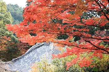 十輪寺の風景