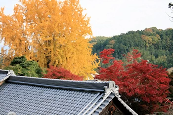 十輪寺の風景