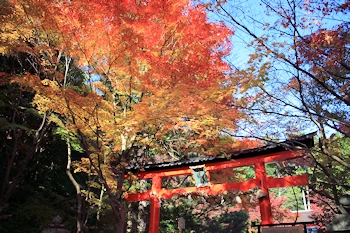 大原野神社の風景