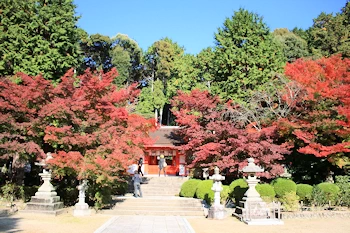 大原野神社の風景