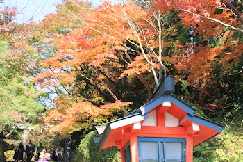 大原野神社の風景