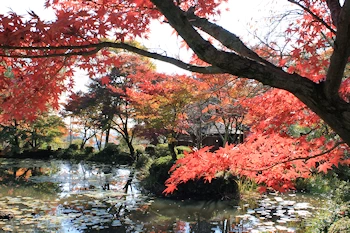 大原野神社の風景