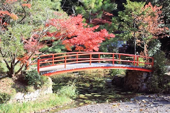 大原野神社の風景