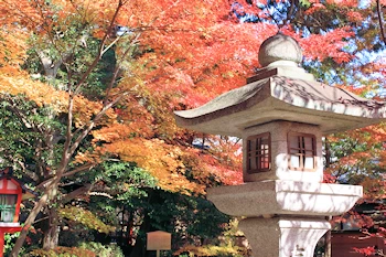 大原野神社の風景