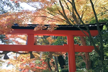 大原野神社の風景