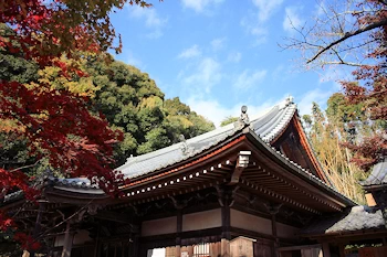 勝持寺の風景