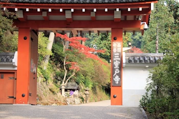 三室戸寺の風景