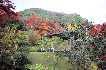 三室戸寺の風景