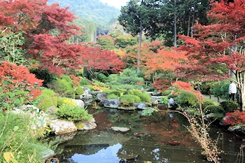 三室戸寺の風景