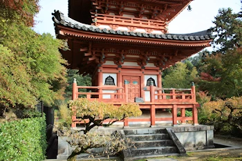 三室戸寺の風景