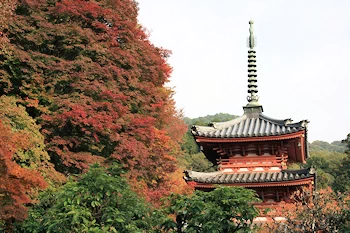 三室戸寺の風景