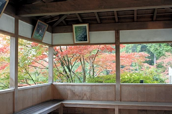 三室戸寺の風景