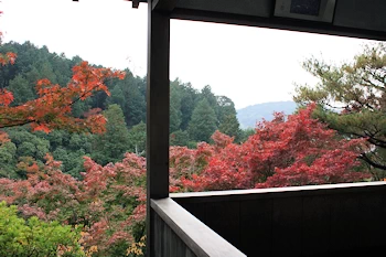 三室戸寺の風景