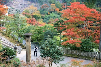 三室戸寺の風景