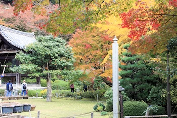 三室戸寺の風景