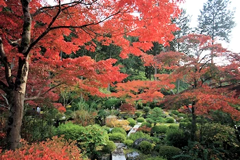 三室戸寺の風景
