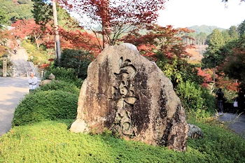 三室戸寺の風景