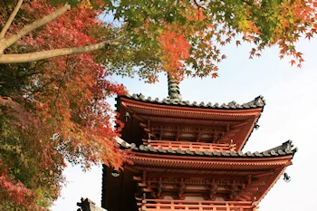 三室戸寺の風景