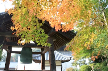 三室戸寺の風景