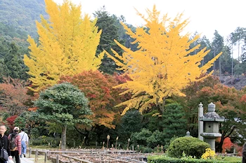 三室戸寺の風景