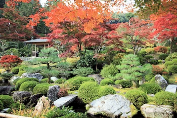 三室戸寺の風景