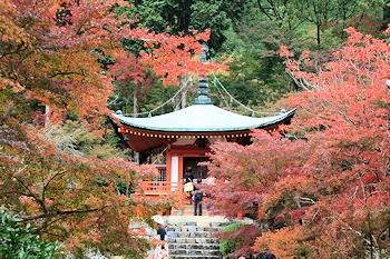 醍醐寺の風景