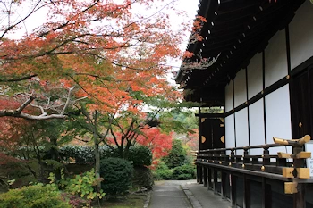 勧修寺の風景