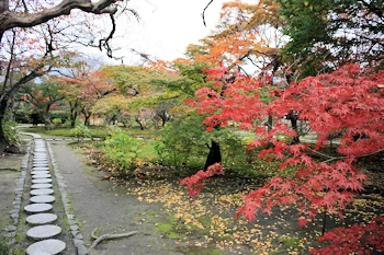 勧修寺の風景