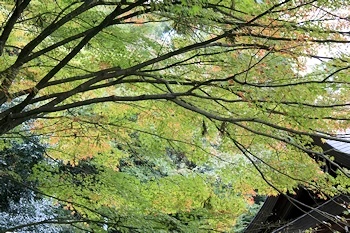 大石神社の風景