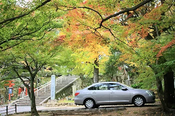 岩屋寺の風景